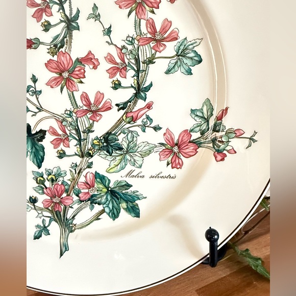 SET/4 Villeroy & Boch,”Botanica Collection”,10.5” Dinner Plates,Anthemis & Malva - Picture 6 of 15